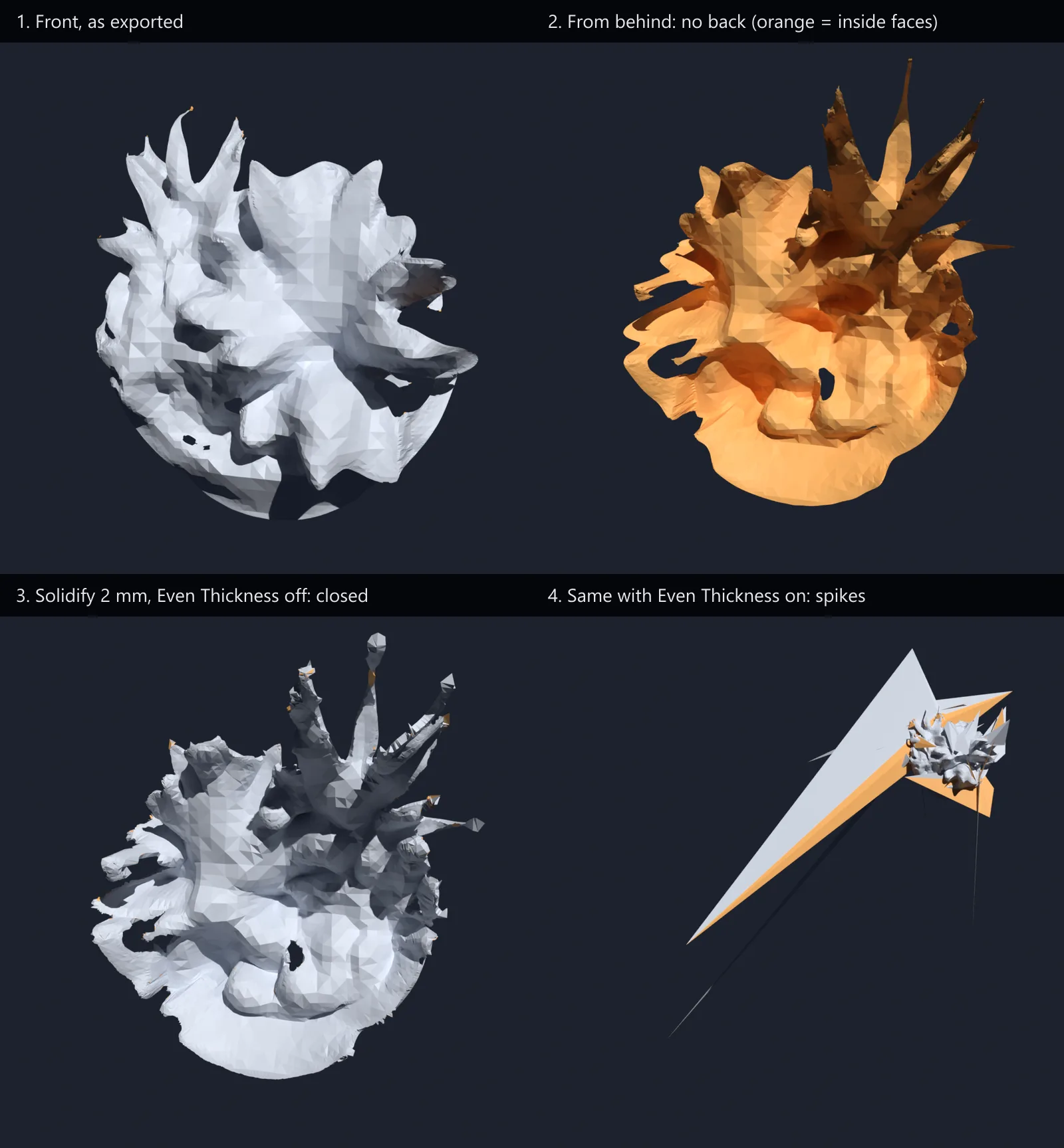 Four renders of the plant export, geometry only. From the front it looks solid; from behind, the orange inside faces show it has no back; with Solidify at 2 mm it becomes closed; with Even Thickness on, spikes shoot out and the plant shrinks to a speck in the frame.