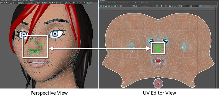 Perspective view and UV Editor side by side. The highlighted face on the model is shown in the same selection state in UV space, which is how UV work is checked.
