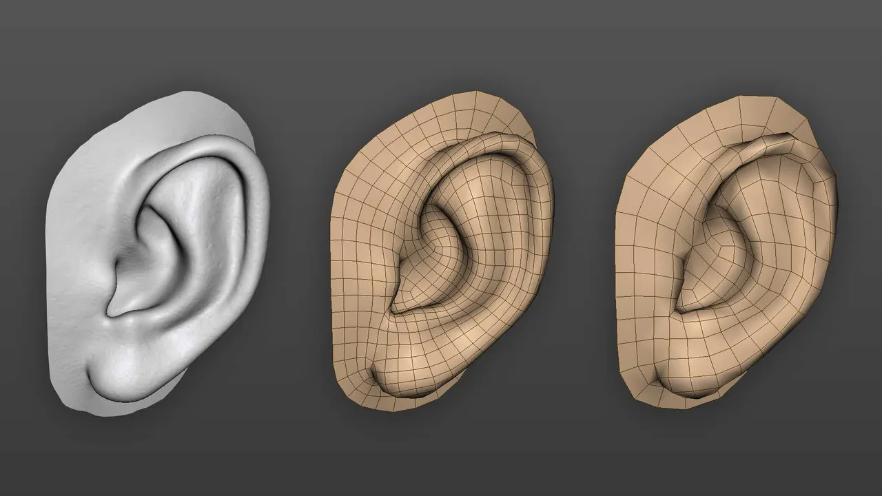 Automatic retopology on a sculpted ear: the original sculpt, a dense generated quad mesh and a coarser one from the same source.